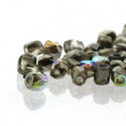 Abalorios facetadas True2™ Fire Polished 2mm - Crystal graphite rainbow